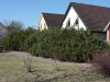 dpp_00116